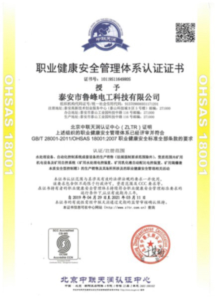 职业人健康安全管理体系认证证书